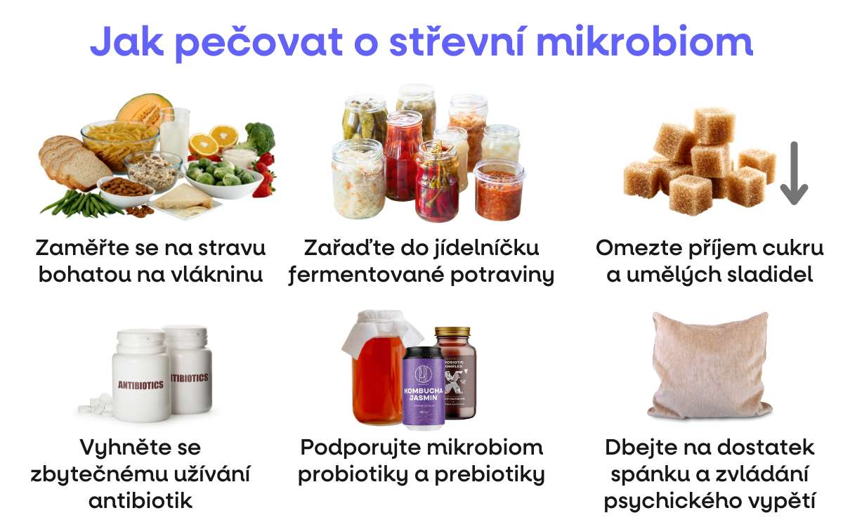 mikrobiom pece infografika